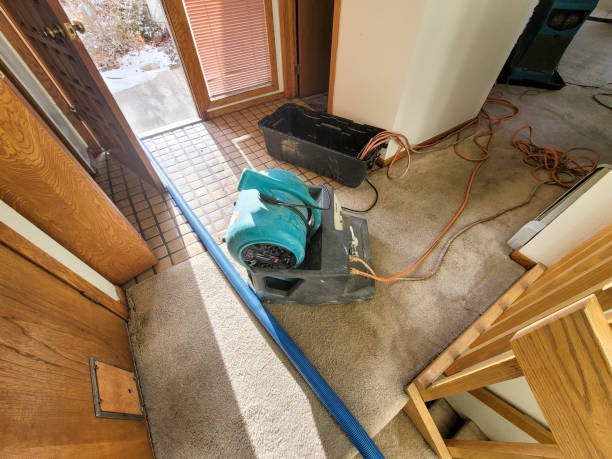 Best Flooded house restoration  in Graham, TX