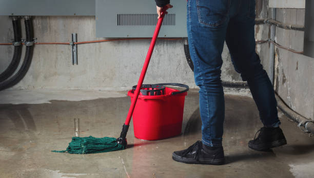 Best Water damage mitigation services  in Graham, TX