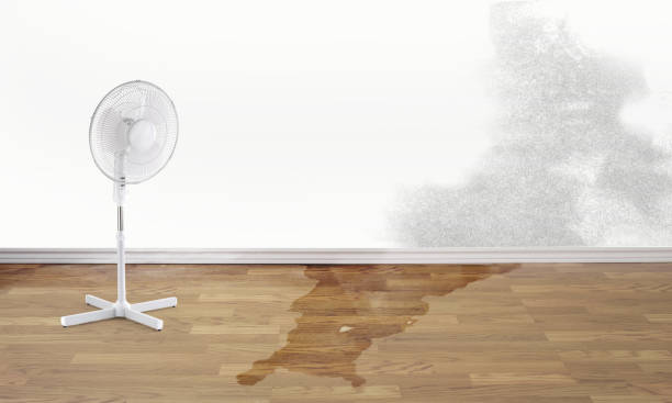 Best Sewage cleanup and water damage restoration  in Graham, TX