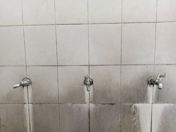 Best Water damage cleanup near me  in Graham, TX