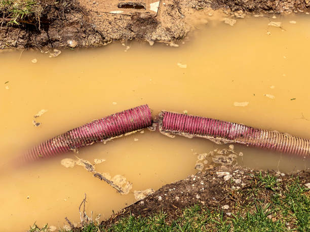 Best 24-hour water damage restoration  in Graham, TX