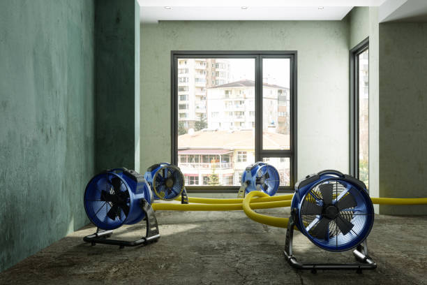 Best Carpet water damage restoration  in Graham, TX
