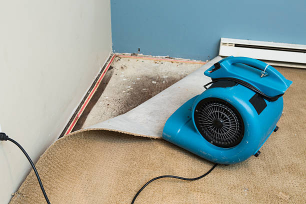 Best Water damage contractors near me  in Graham, TX